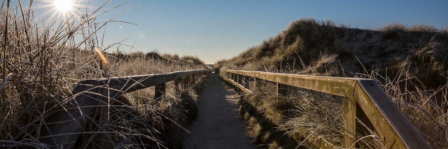 Hotel Twilling Spo Headerimage Duenenweg Hotel Twilling Spo Headerimage Duenenweg